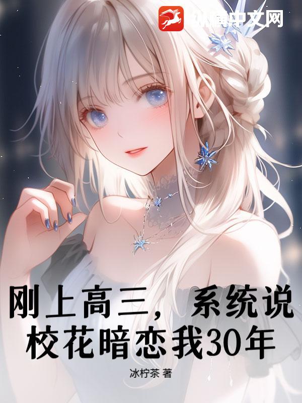 ϸϵͳ˵У30ꣿ